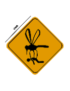 aesthetic wall décor